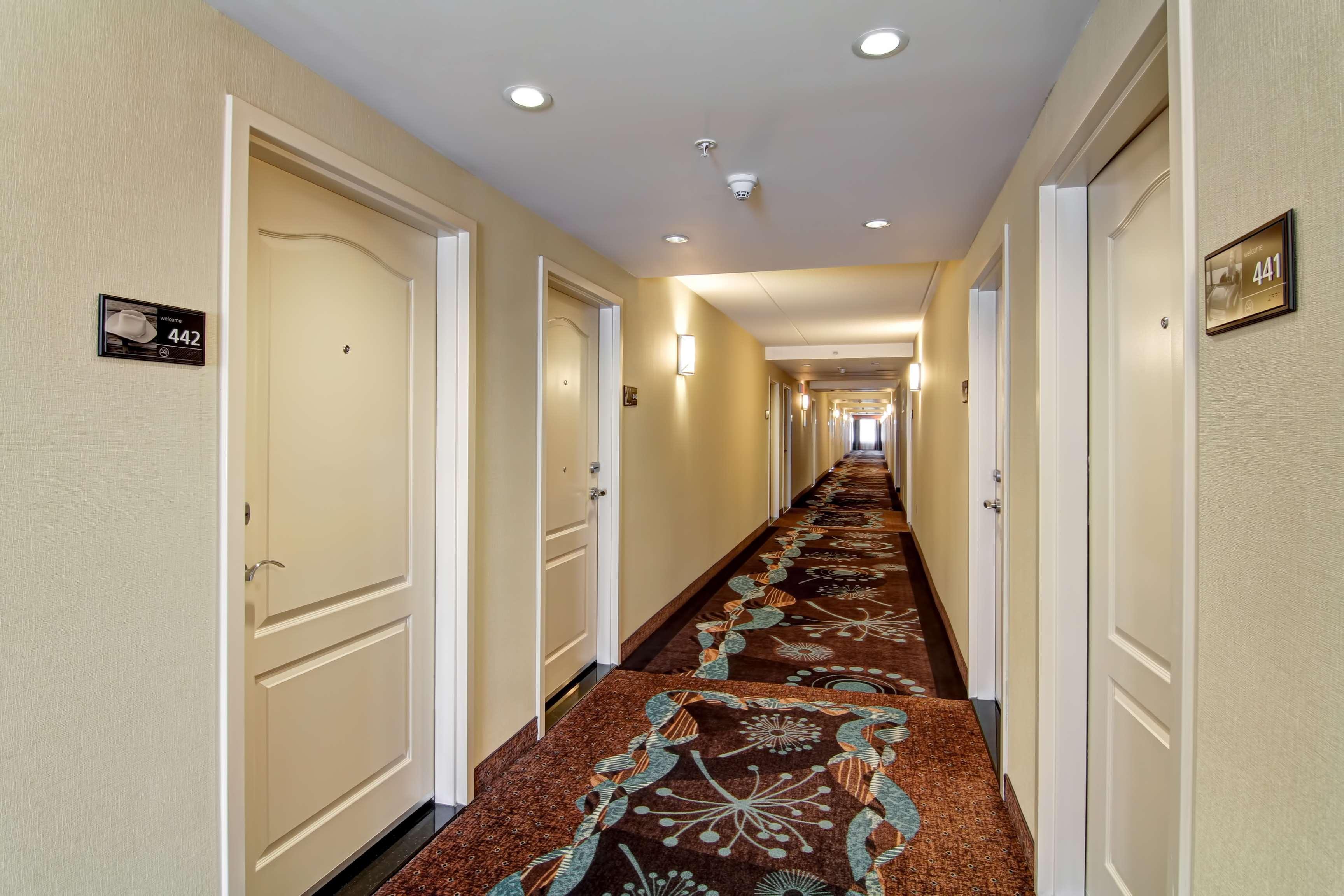Hampton Inn By Hilton Toronto Airport Corporate Centre Bagian luar foto